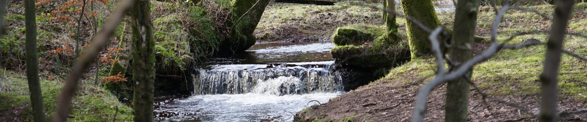 picutre of stream